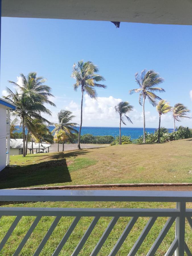 Studio Vue Mer Piscine Plage Kaz Punch Manganao Chez Julie Saint-Francois  Exterior photo